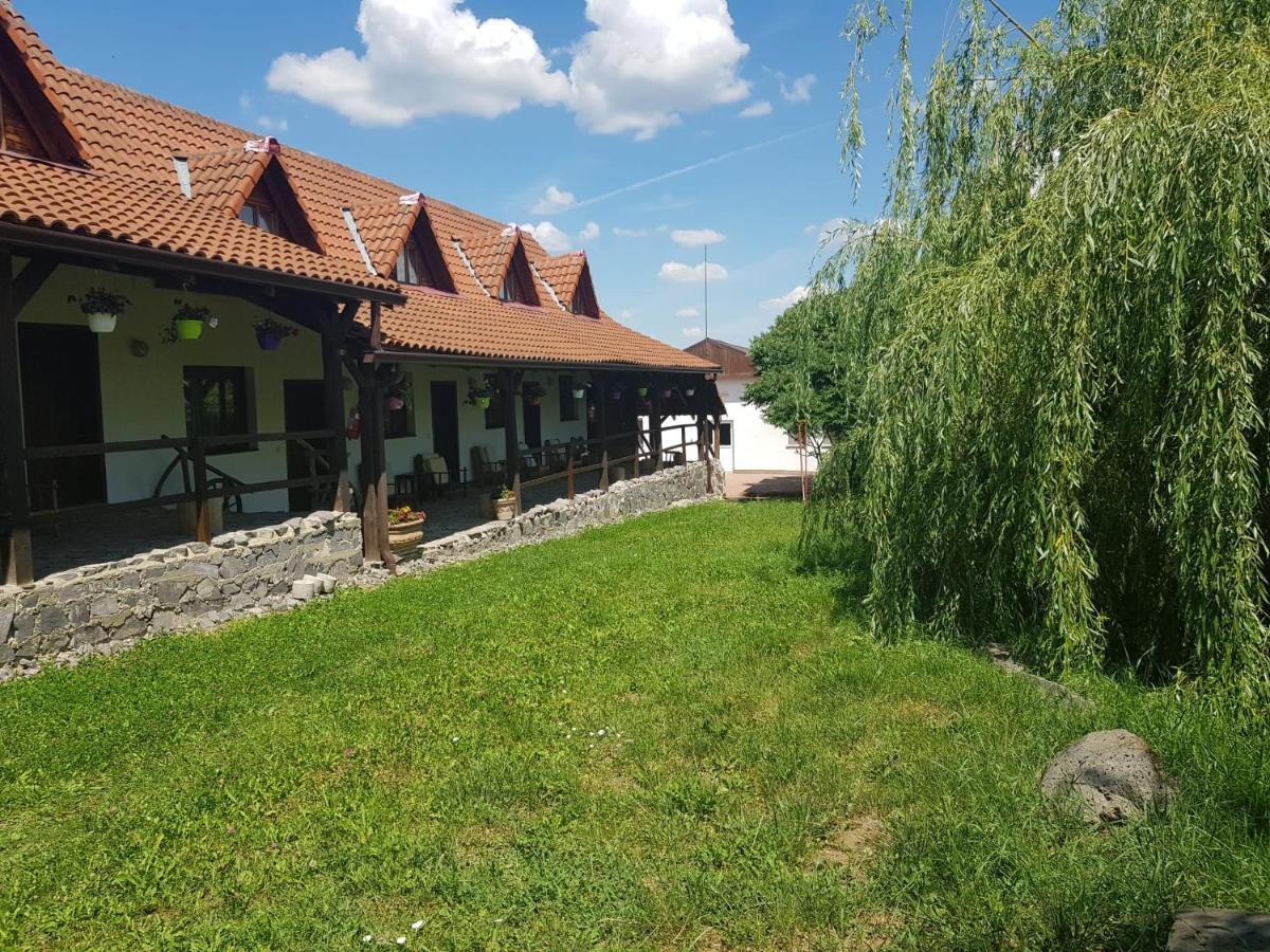 Vila Sura Razoare Sighisoara Exterior photo