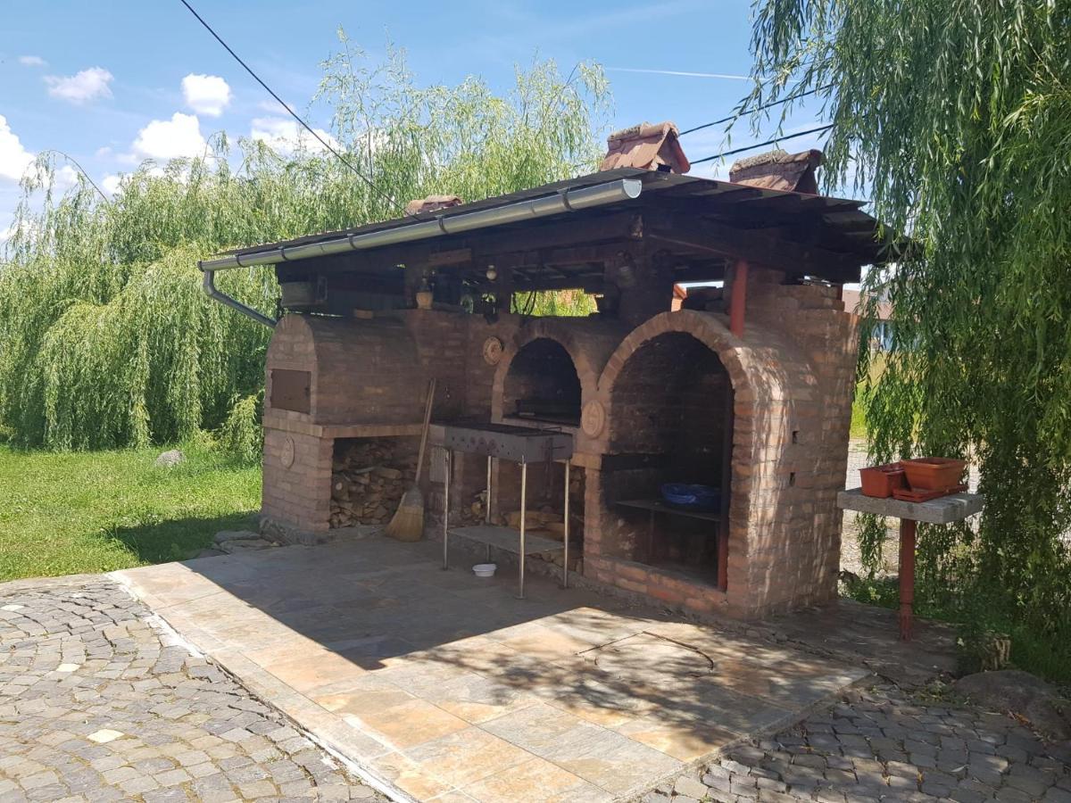 Vila Sura Razoare Sighisoara Exterior photo