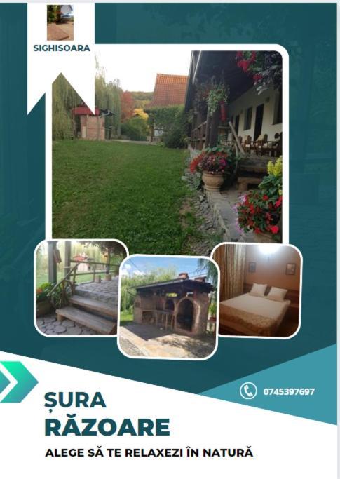 Vila Sura Razoare Sighisoara Exterior photo