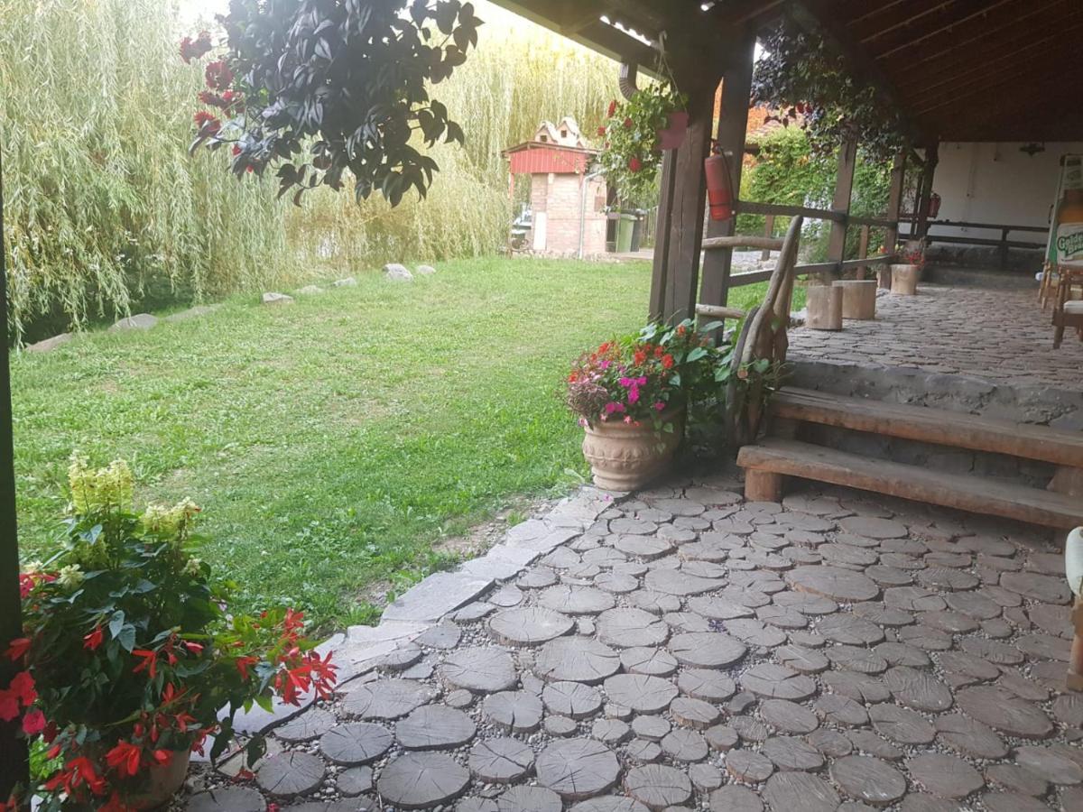 Vila Sura Razoare Sighisoara Exterior photo